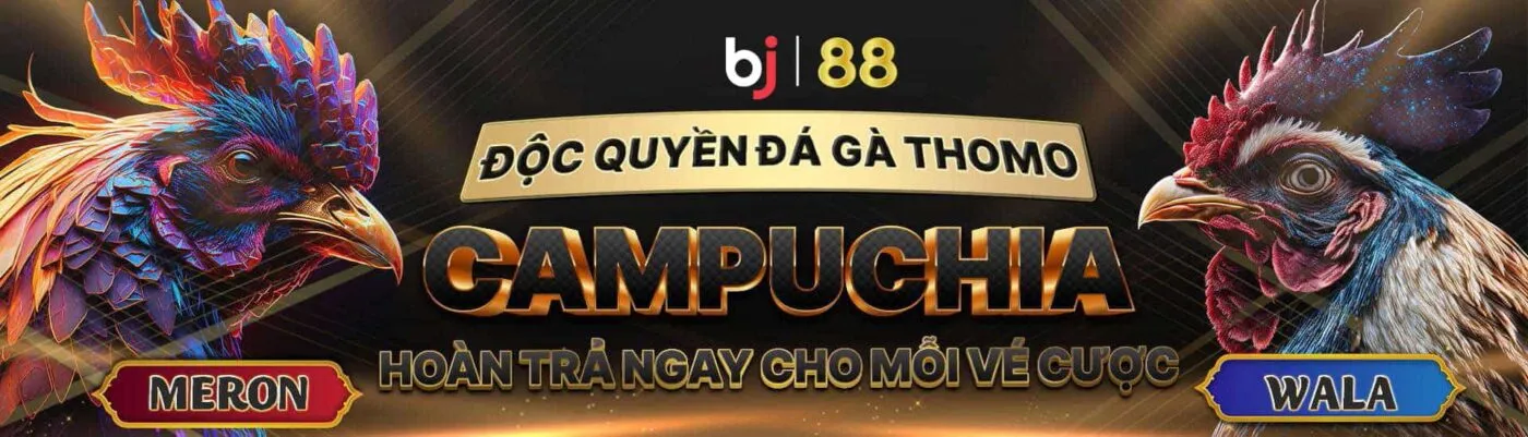 Banner BJ88